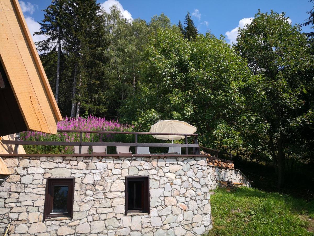 Le Chalet Pointu De Capucine Βίλα Bourg-Saint-Maurice Εξωτερικό φωτογραφία