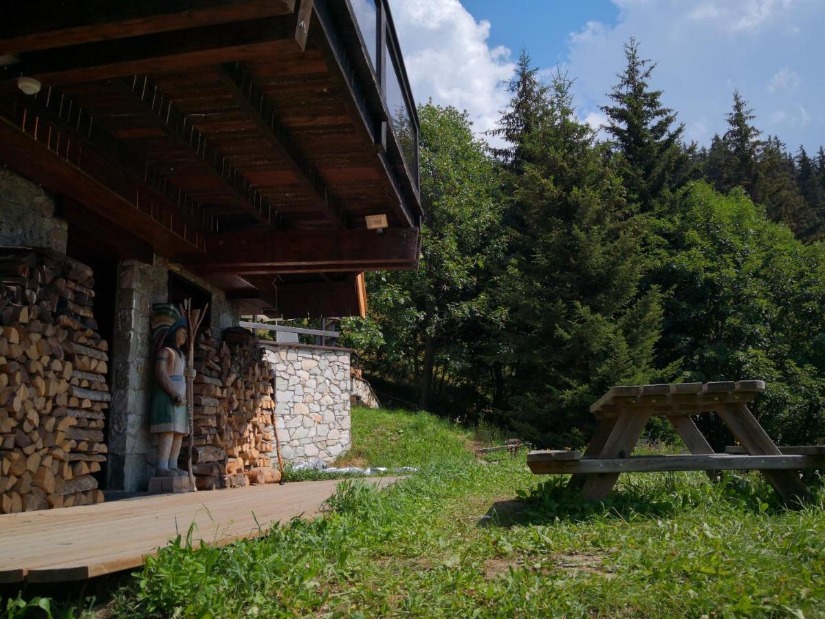 Le Chalet Pointu De Capucine Βίλα Bourg-Saint-Maurice Εξωτερικό φωτογραφία